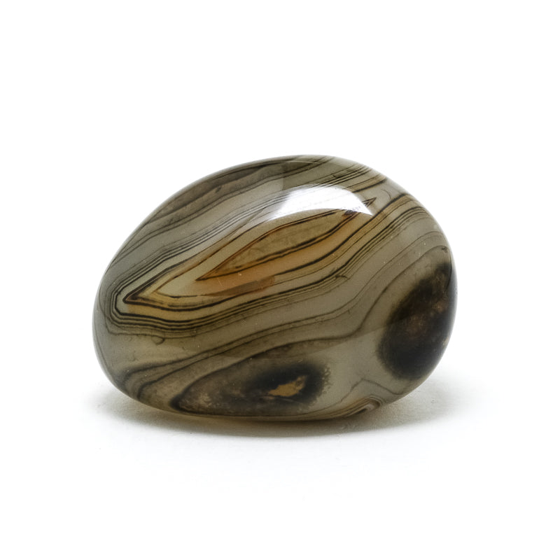 Dendritic Agate Polished Crystal from Madagascar | Venusrox