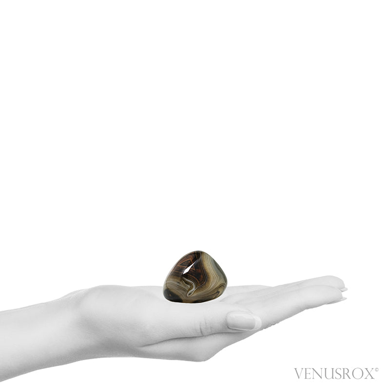 Dendritic Agate Polished Crystal from Madagascar | Venusrox