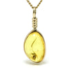 Natural Baltic Amber with Insect Polished Crystal Pendant | Venusrox