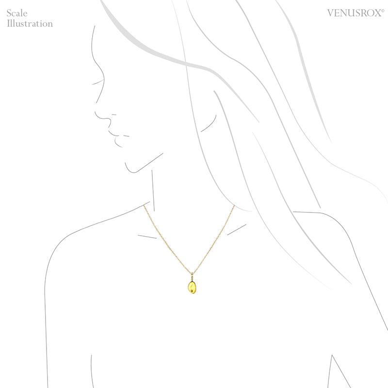 Natural Baltic Amber with Insect Polished Crystal Pendant | Venusrox