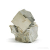 Pyrite Cube in Matrix from Navajun, La Rioja, Spain | Venusrox