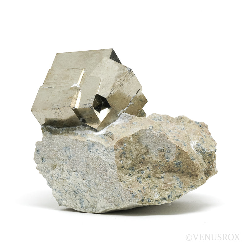 Pyrite Cube in Matrix from Navajun, La Rioja, Spain | Venusrox