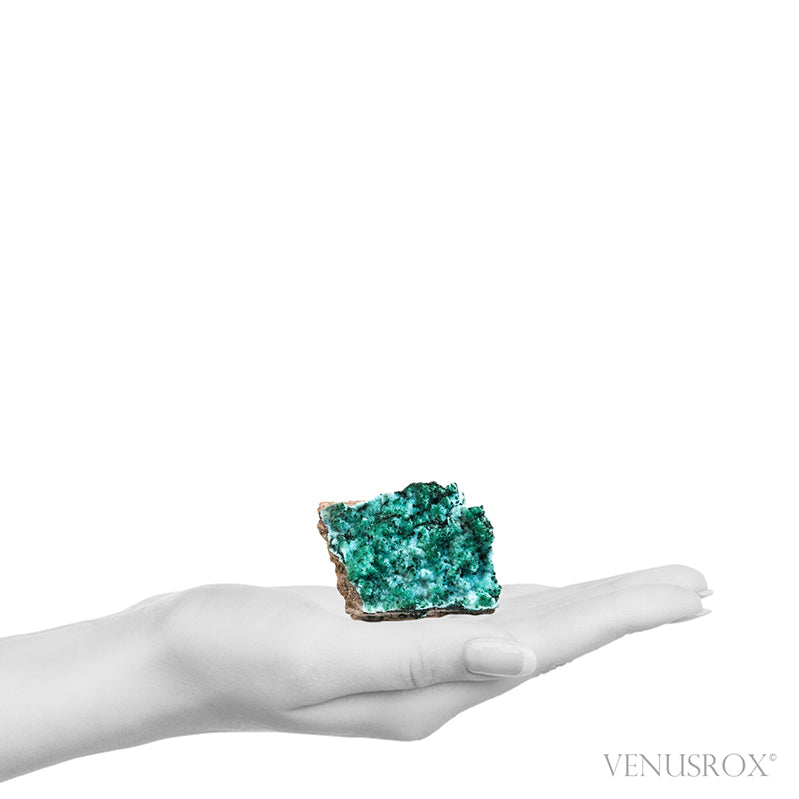 Chrysocolla with Malachite, Clear Quartz & Matrix Natural Crystal from the Tenke-Fungurume Area, Lualaba, Democratic Republic of the Congo | Venusrox