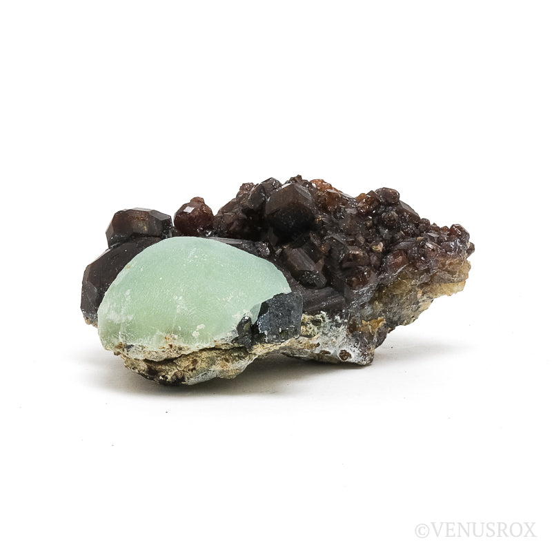Prehnite with Epidote on Mali Garnet Natural Specimen from the Kayes Region, Mali, Africa | Venusrox