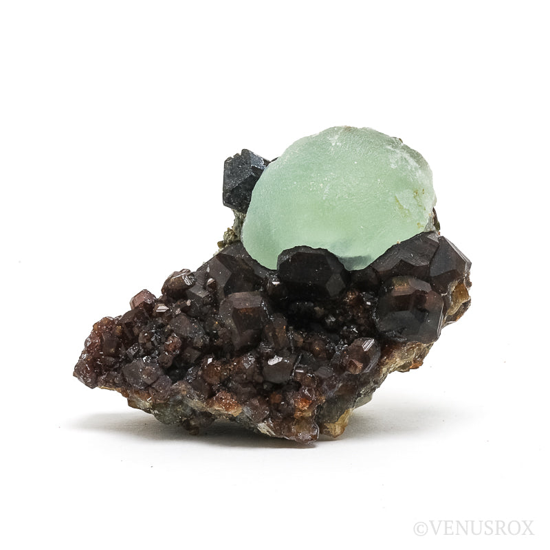 Prehnite with Epidote on Mali Garnet Natural Specimen from the Kayes Region, Mali, Africa | Venusrox