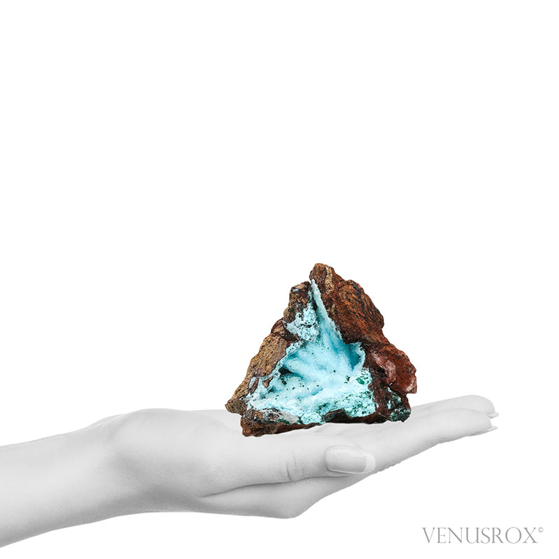 Chrysocolla with Malachite, Clear Quartz & Matrix Natural Crystal from the Tenke-Fungurume Area, Lualaba, Democratic Republic of the Congo | Venusrox