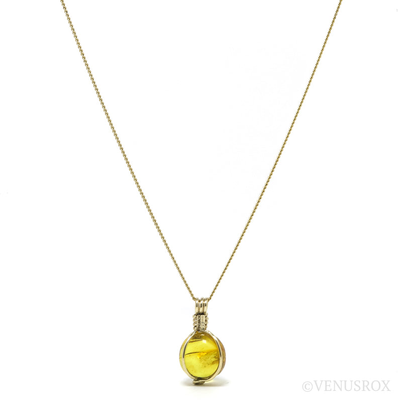 Natural Baltic Amber with Insect Polished Crystal Pendant | Venusrox