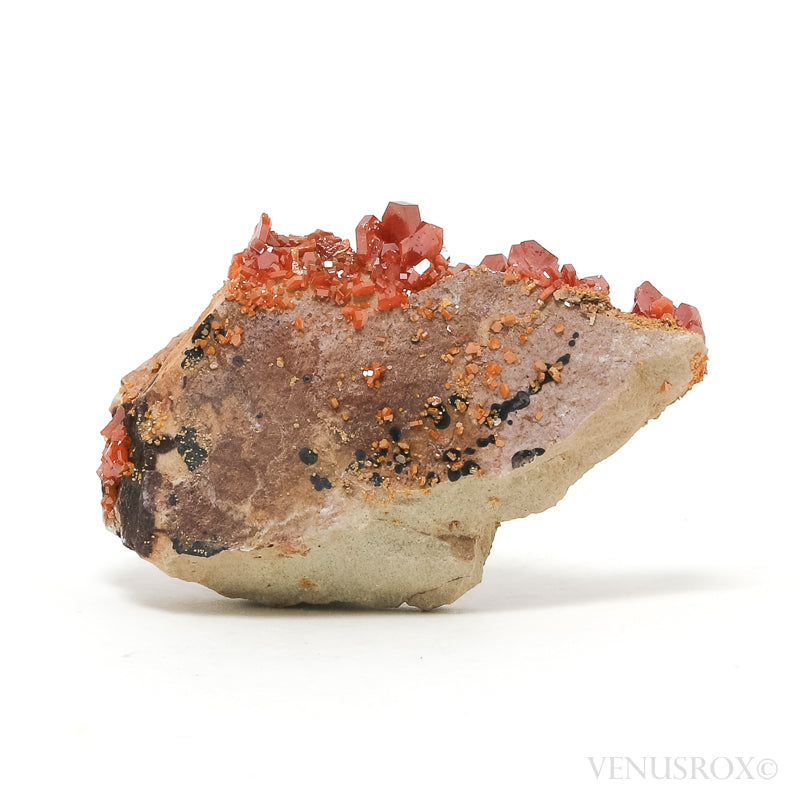 Vanadinite on Matrix Natural Cluster from Mibladen, Midelt, Meknes-Tafilalet Region, Morocco | Venusrox