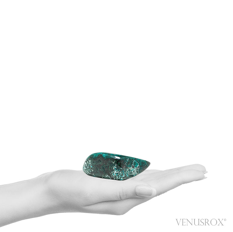 Dioptase with Chrysocolla, Shattuckite & Matrix Polished Crystal from the Democratic Republic of Congo | Venusrox