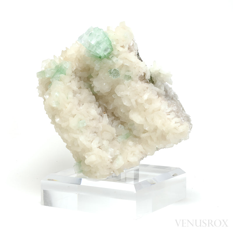 Green Apophyllite & Stilbite on Matrix Cluster from Lonavala, Pune District, Maharashtra, India mounted on a bespoke stand | Venusrox