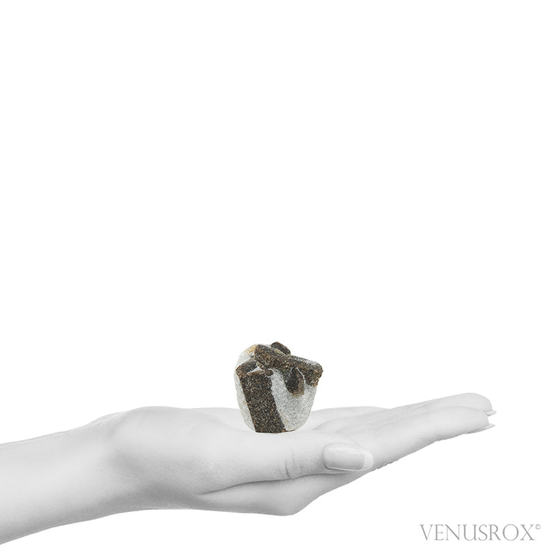 Staurolite/Fairy Cross Natural Crystal from Pestsovye Keivy, Keivy Mountains, Kola Peninsula, Northern Region, Russia | Venusrox