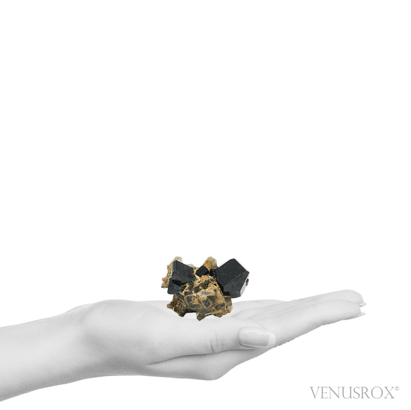 Black Tourmaline with Smoky Quartz Natural Cluster from Rondekop, Erongo Mountains, Karibib District, Erongo Region, Namibia | Venusrox