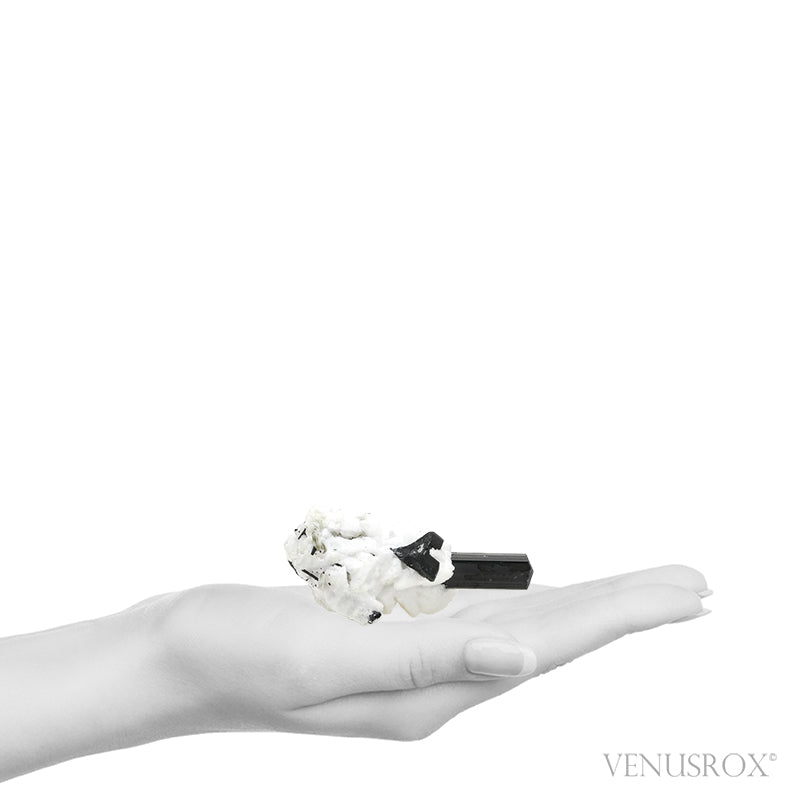 Black Tourmaline with Albite & Mica Natural Cluster from Skardu, Gilgit-Baltistan, Pakistan | Venusrox