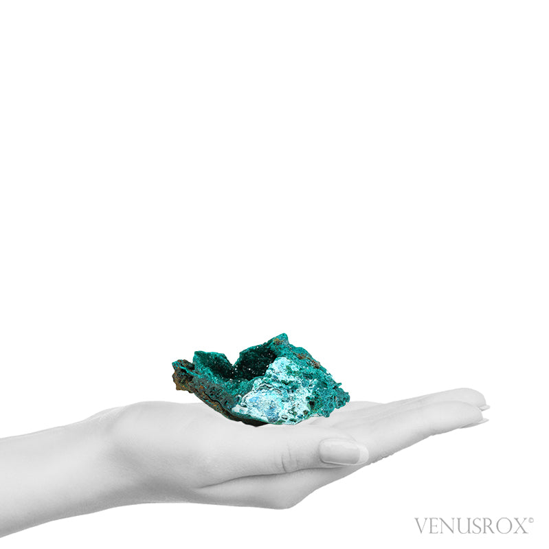 Dioptase with Chrysocolla on Matrix Natural Cluster from Renéville, Kindanba District, Pool Department, Demacratic Republic of the Congo | Venusrox