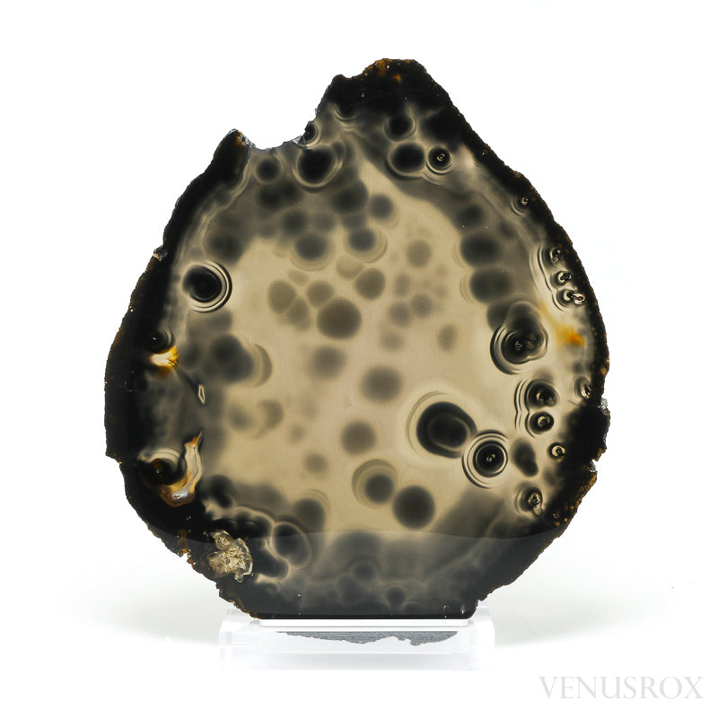 Agate Polished Slice from Brazil, mounted on a bespoke stand | Venusrox