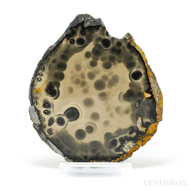 Agate Polished Slice from Brazil, mounted on a bespoke stand | Venusrox