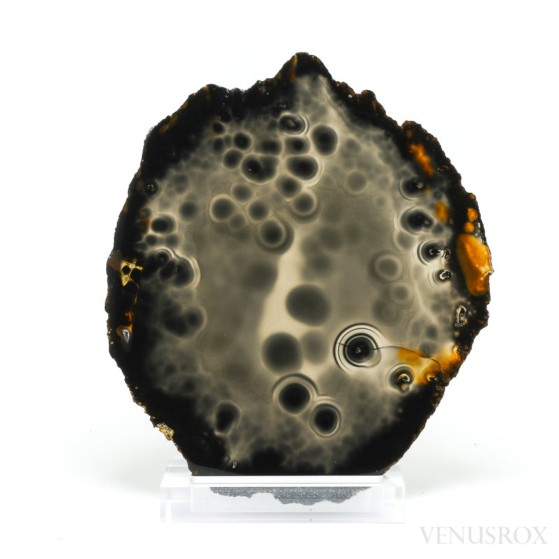 Agate Polished Slice from Brazil, mounted on a bespoke stand | Venusrox