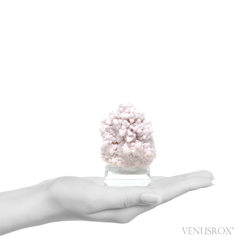 Mangano Calcite with Sphalerite & Chalcopyrite Natural Cluster from Bulgaria | Venusrox