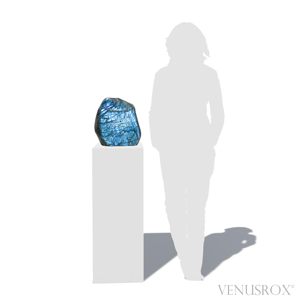 Labradorite Polished Freeform from Madagascar | Venusrox