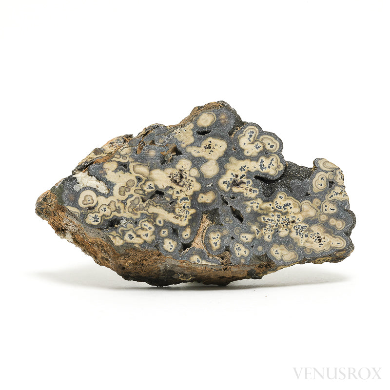 Schalenblende Part Polished/Part Natural Crystal from Olkusz, Poland | Venusrox