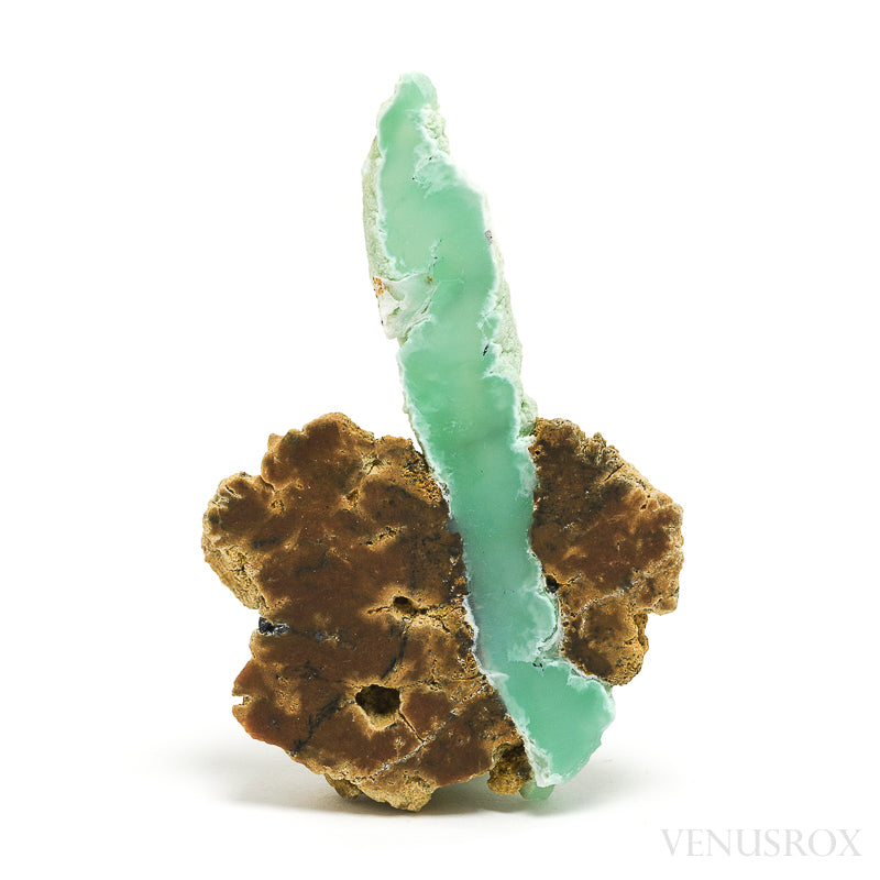 Chrysoprase Polished/Natural Crystal from the Szklary Chrysoprase Mine, Poland | Venusrox