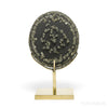 Natural Pyrite Concretion from China Mounted on a bespoke stand | Venusrox