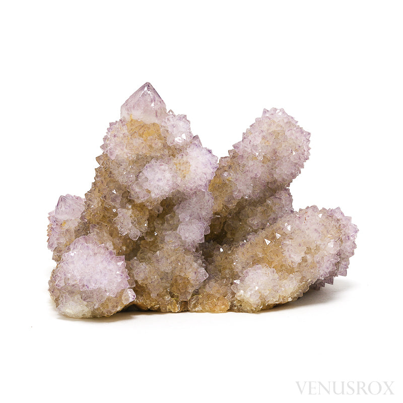 Natural Amethyst Spirit Quartz Cluster from Mpumalanga, South Africa | Venusrox