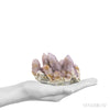 Natural Amethyst Spirit Quartz Cluster from Mpumalanga, South Africa | Venusrox