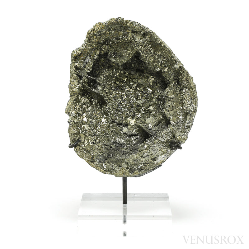 Natural Pyrite Half Nodule from Le Mans, Sarthe, France mounted on a bespoke stand | Venusrox