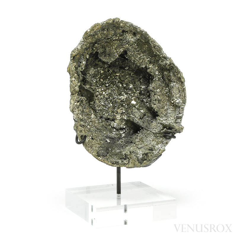 Natural Pyrite Half Nodule from Le Mans, Sarthe, France mounted on a bespoke stand | Venusrox