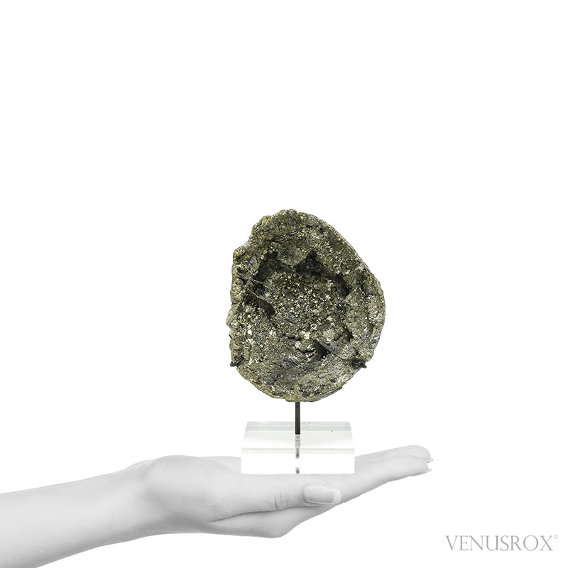 Natural Pyrite Half Nodule from Le Mans, Sarthe, France mounted on a bespoke stand | Venusrox