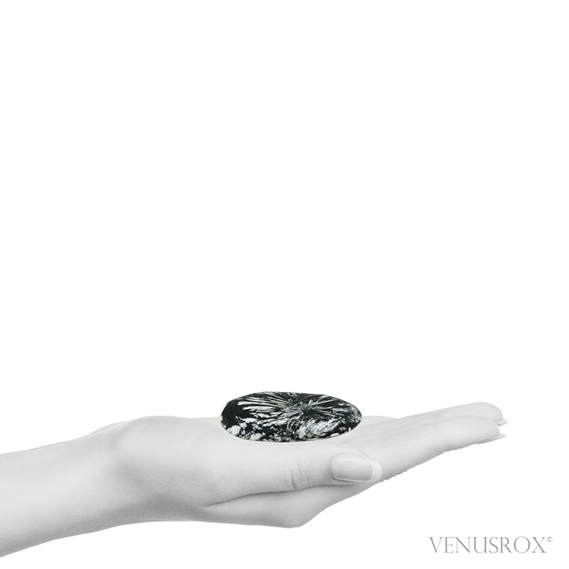 Chrysanthemum Stone from China | Venusrox