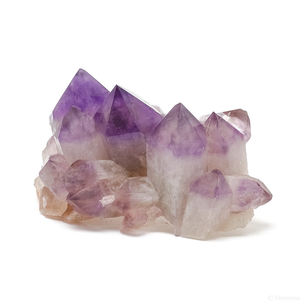 Amethyst Phantom Natural Cluster from the Anahi Mine, Santa Cruz Dept. Bolivia | Venusrox
