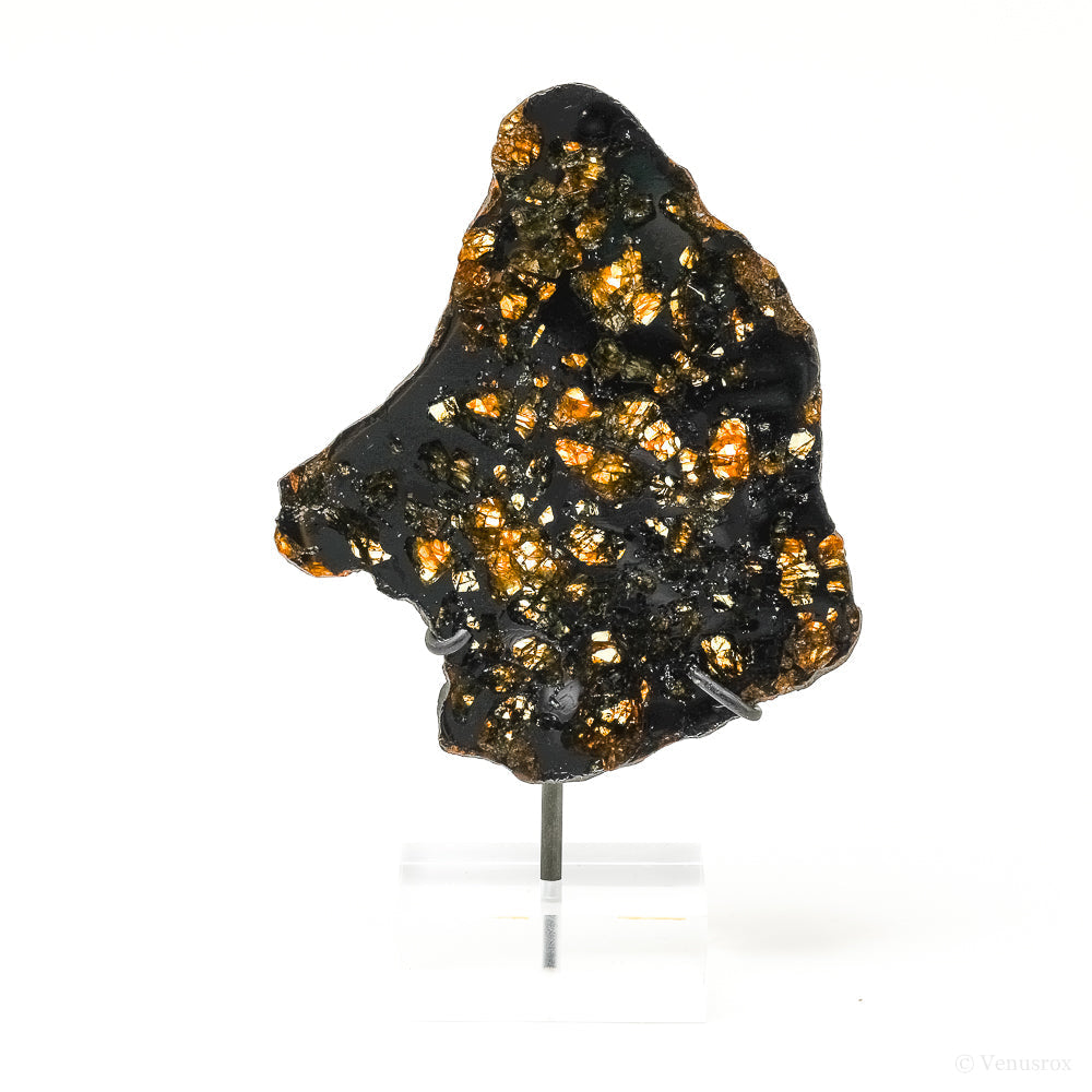 Seymchan Pallasite Meteorite Polished Slice from the Hekandue River, Jasačnaja, Magadan District, Russia mounted on a bespoke stand | Venusrox