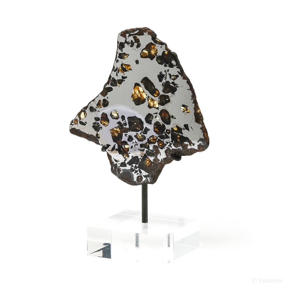 Seymchan Pallasite Meteorite Polished Slice from the Hekandue River, Jasačnaja, Magadan District, Russia mounted on a bespoke stand | Venusrox
