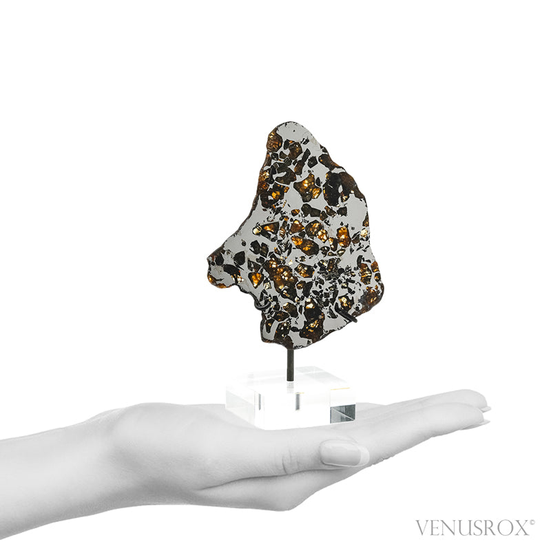 Seymchan Pallasite Meteorite Polished Slice from the Hekandue River, Jasačnaja, Magadan District, Russia mounted on a bespoke stand | Venusrox