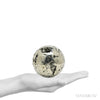 Pyrite Geode Sphere from Peru | Venusrox
