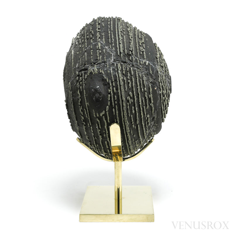 Natural Pyrite Concretion from China Mounted on a bespoke stand | Venusrox