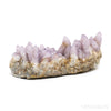 Natural Amethyst Spirit Quartz Cluster from Mpumalanga, South Africa | Venusrox