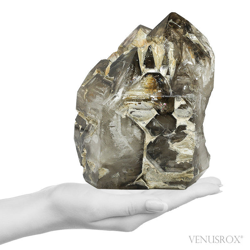 Smoky Phantom Elestial Quartz Part Polished/Part Natural Point from Brazil | Venusrox