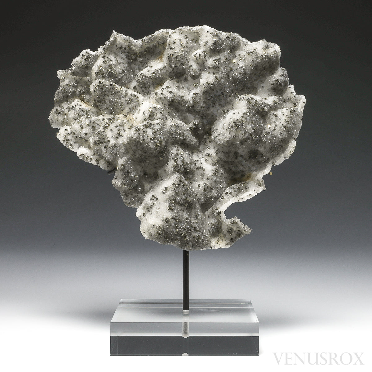 Pyrite on Quartz Natural Cluster from the Cavnic Mine, Cavnic, Maramureș County, Romania, mouted on a bespoke stand | Venusrox