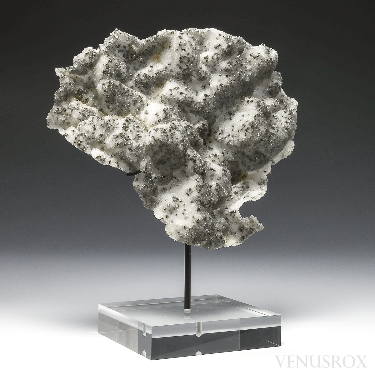 Pyrite on Quartz Natural Cluster from the Cavnic Mine, Cavnic, Maramureș County, Romania, mouted on a bespoke stand | Venusrox