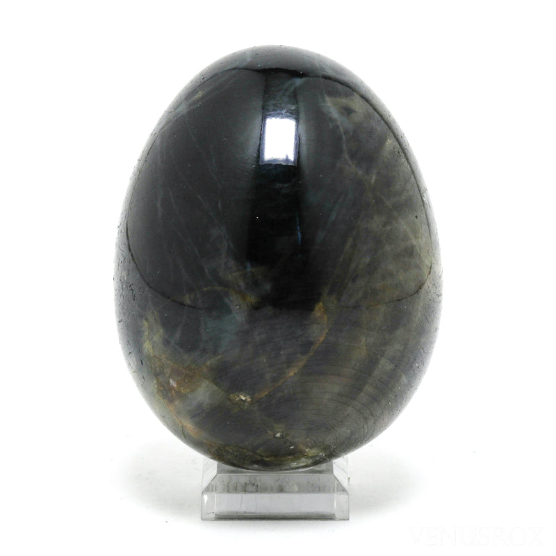 Blue Sapphire Polished Egg from Madagascar | Venusrox