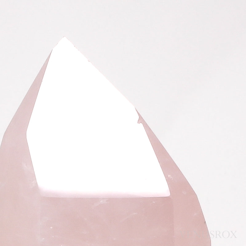 Rose Quartz Polished Point from Brazil | Venusrox