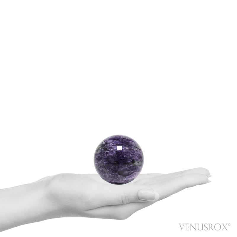 Size Illustration | Charoite with Aegirine Polished Sphere from Sakha Republic, Siberia, Russia | Venusrox