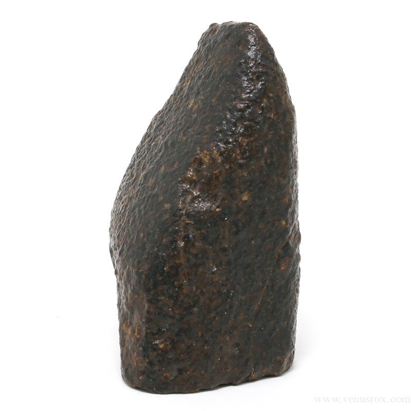 Meteorite (Chondrite) | Venusrox