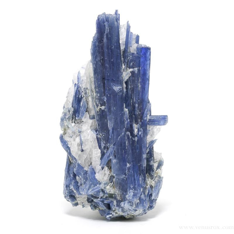 Blue Kyanite | Venusrox