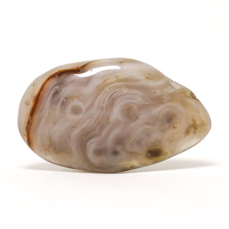 Enhydro Agate | Venusrox