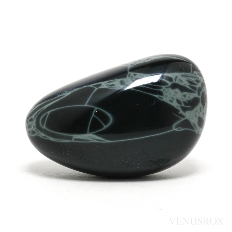 Spider Obsidian | Venusrox