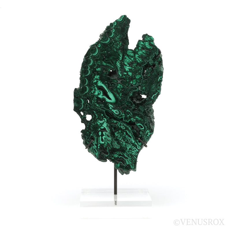 Malachite Slice from the Democratic Republic of the Congo | Venusrox